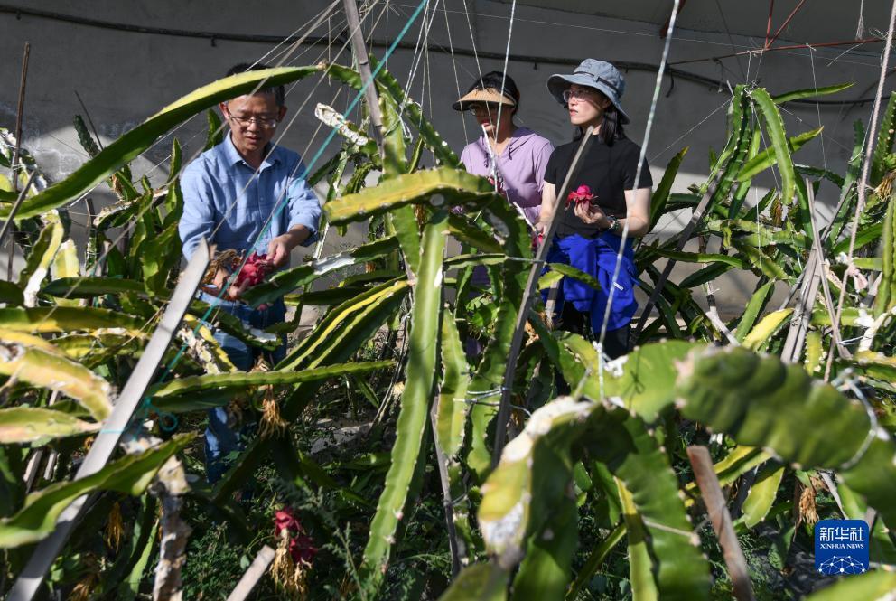 捕鱼游戏电脑版在线玩不用登录